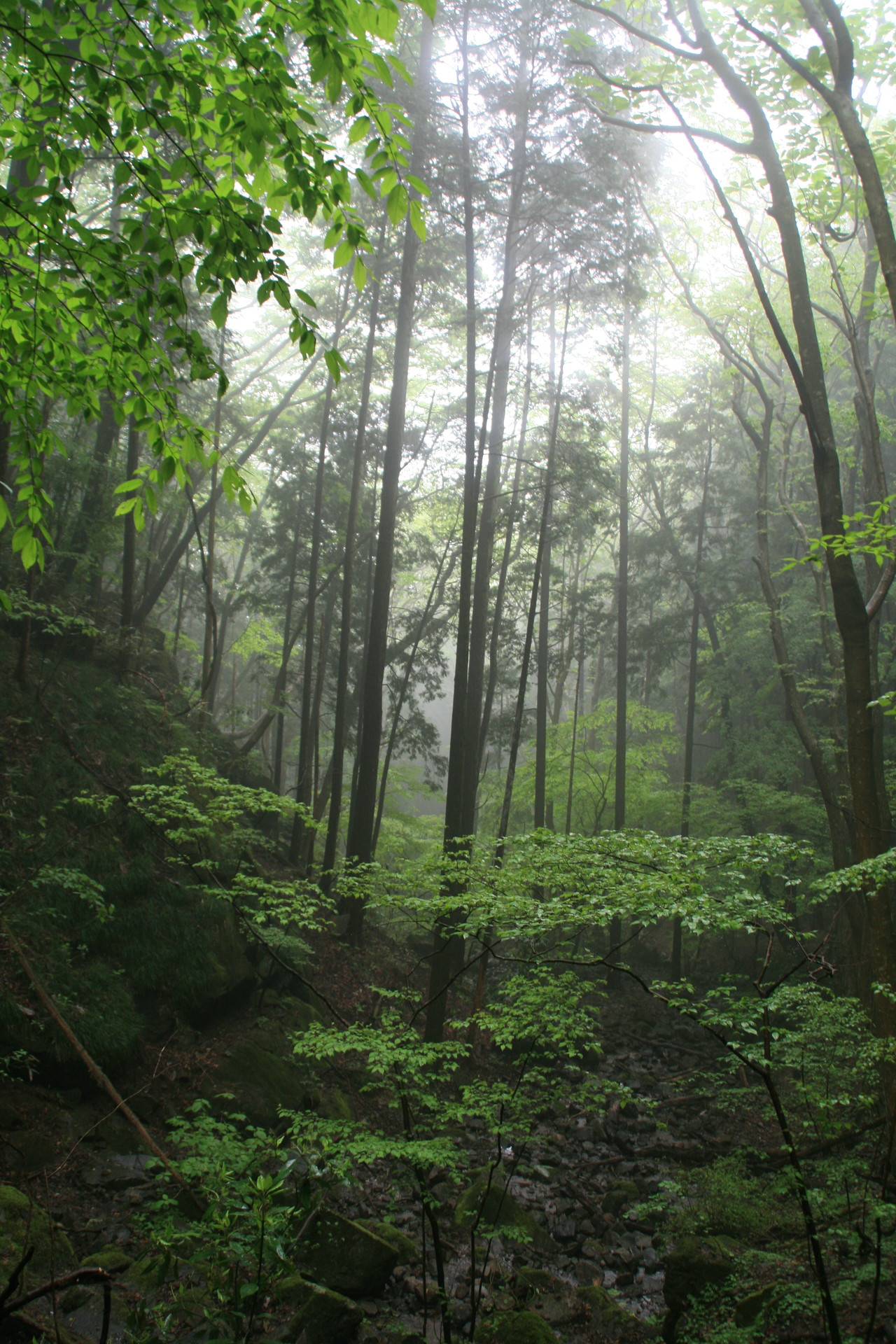 Yamapオフ会 筑波山bbq リンダさんの筑波山の活動データ Yamap ヤマップ
