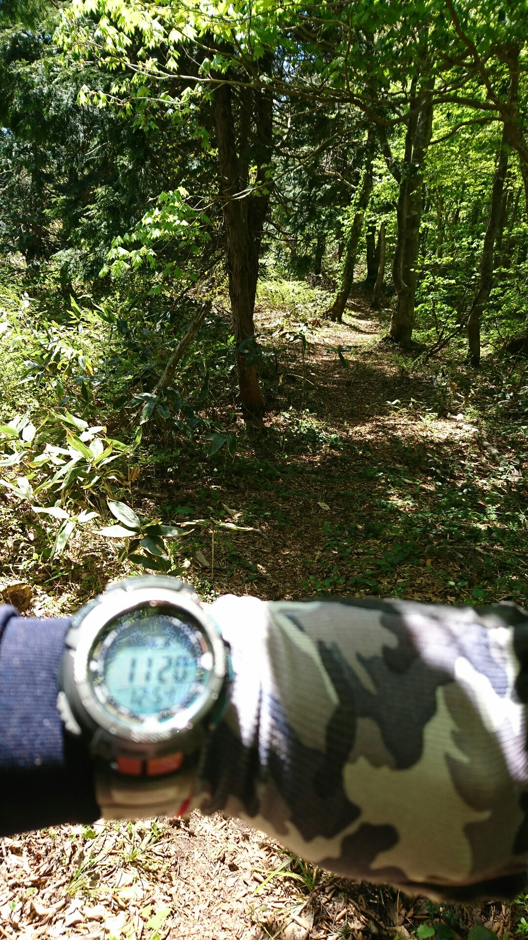 阿佐山 天狗石山へ縦走して見ました みきさんの天狗石山 阿佐山 安佐山 三ツ石山の活動日記 Yamap ヤマップ