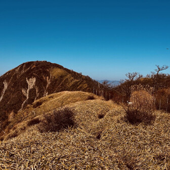 小さく蛭ヶ岳山荘が見える。