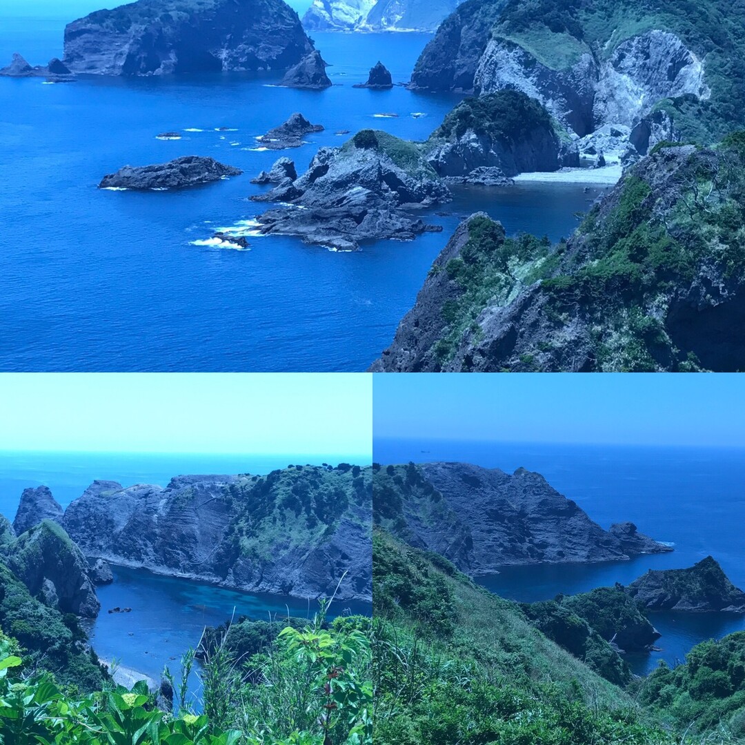 第回in南伊豆ボート釣り ハイキングと観光か マッピー3さんの天城山 鉢ノ山 三筋山の活動日記 Yamap ヤマップ