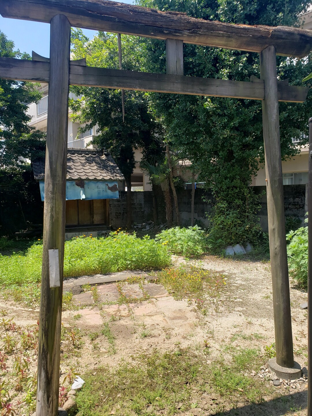 熊本市神社巡り 1 08 02 ジョグ ウォーク 熊本市 中央エリア 北エリア の写真80枚目 27 現人神社 立派な看板 説明 文 Yamap ヤマップ