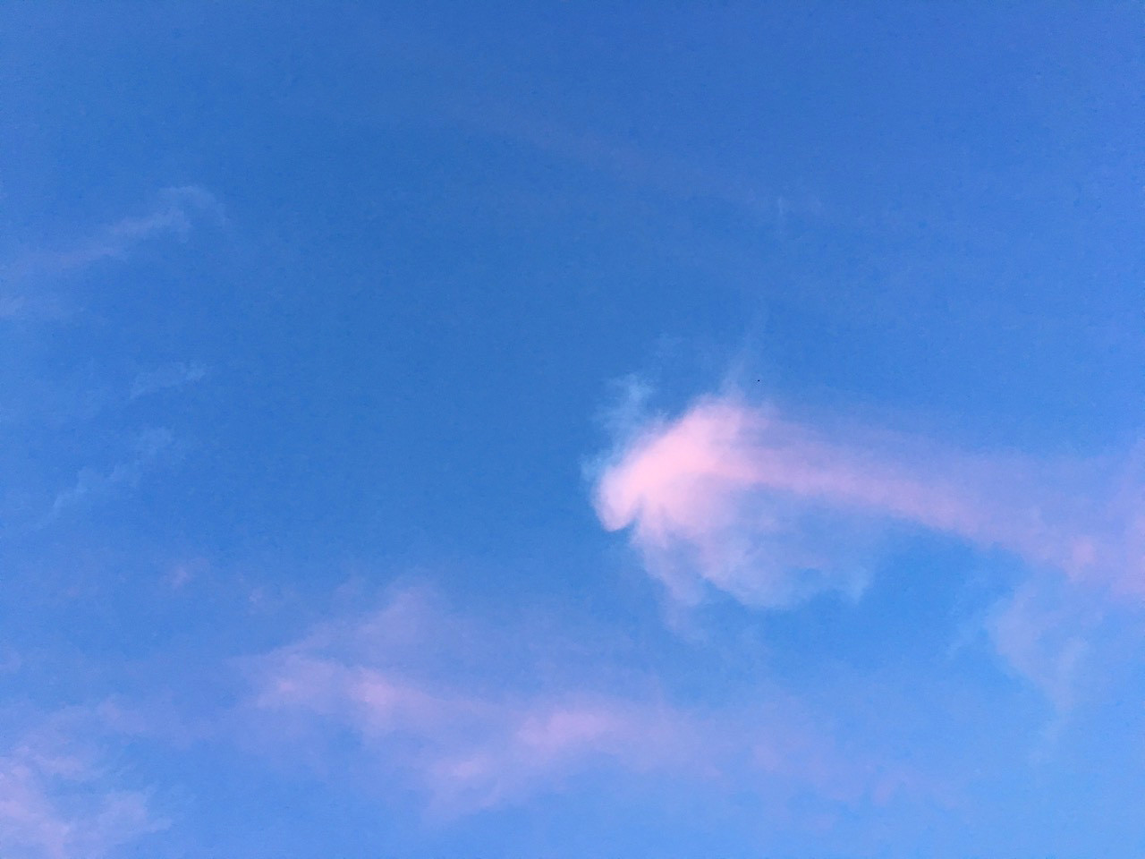 トレランがてら不動岩 Yumiさんの八方ヶ岳の活動日記 Yamap ヤマップ