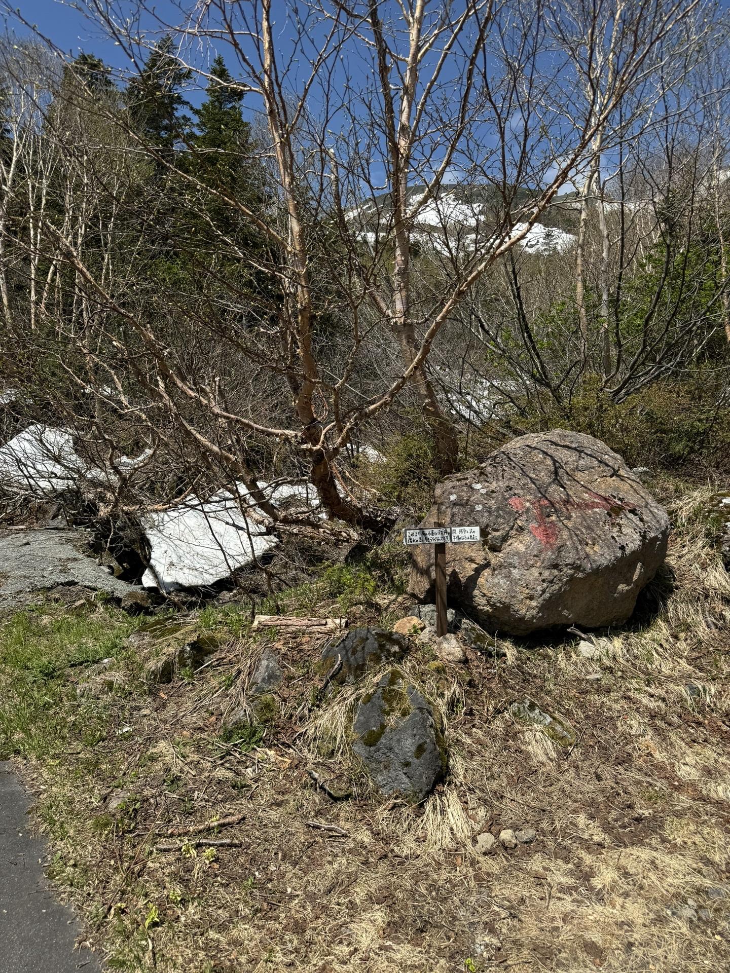 位が原山荘から少し歩くと、ショートカット（登山道）への分岐