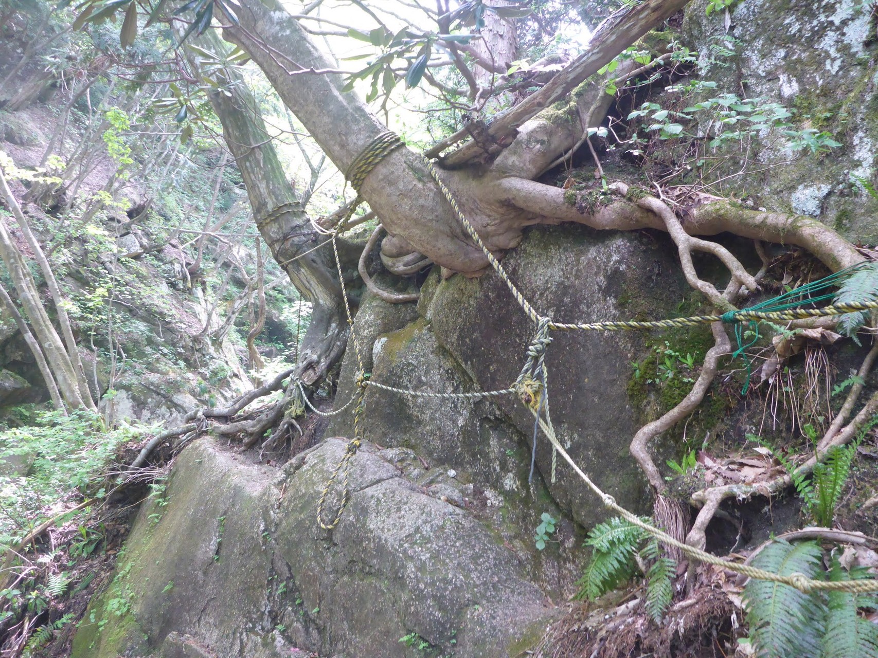 八淵の滝 神爾谷 こみるさんの比良山地 武奈ヶ岳 釈迦岳の活動日記 Yamap ヤマップ