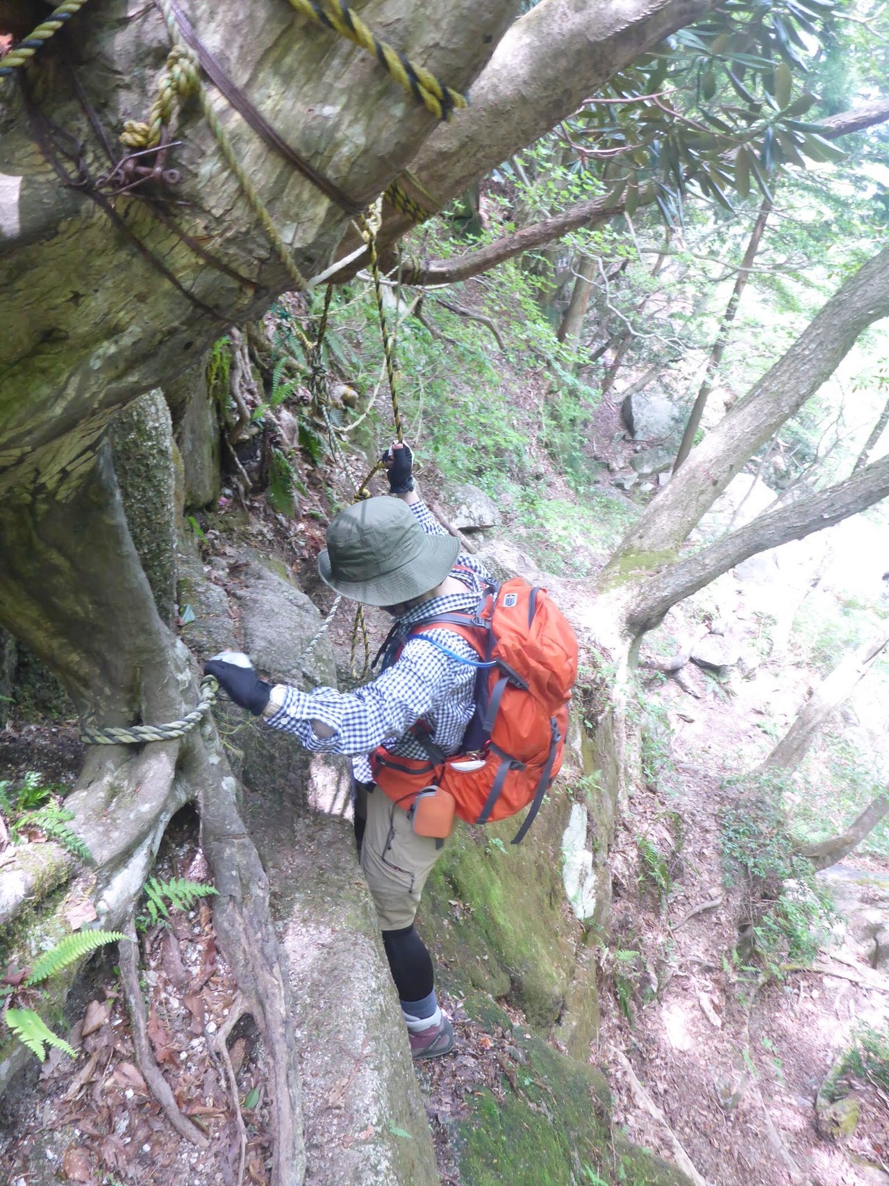 八淵の滝 神爾谷 こみるさんの比良山地 武奈ヶ岳 釈迦岳の活動日記 Yamap ヤマップ