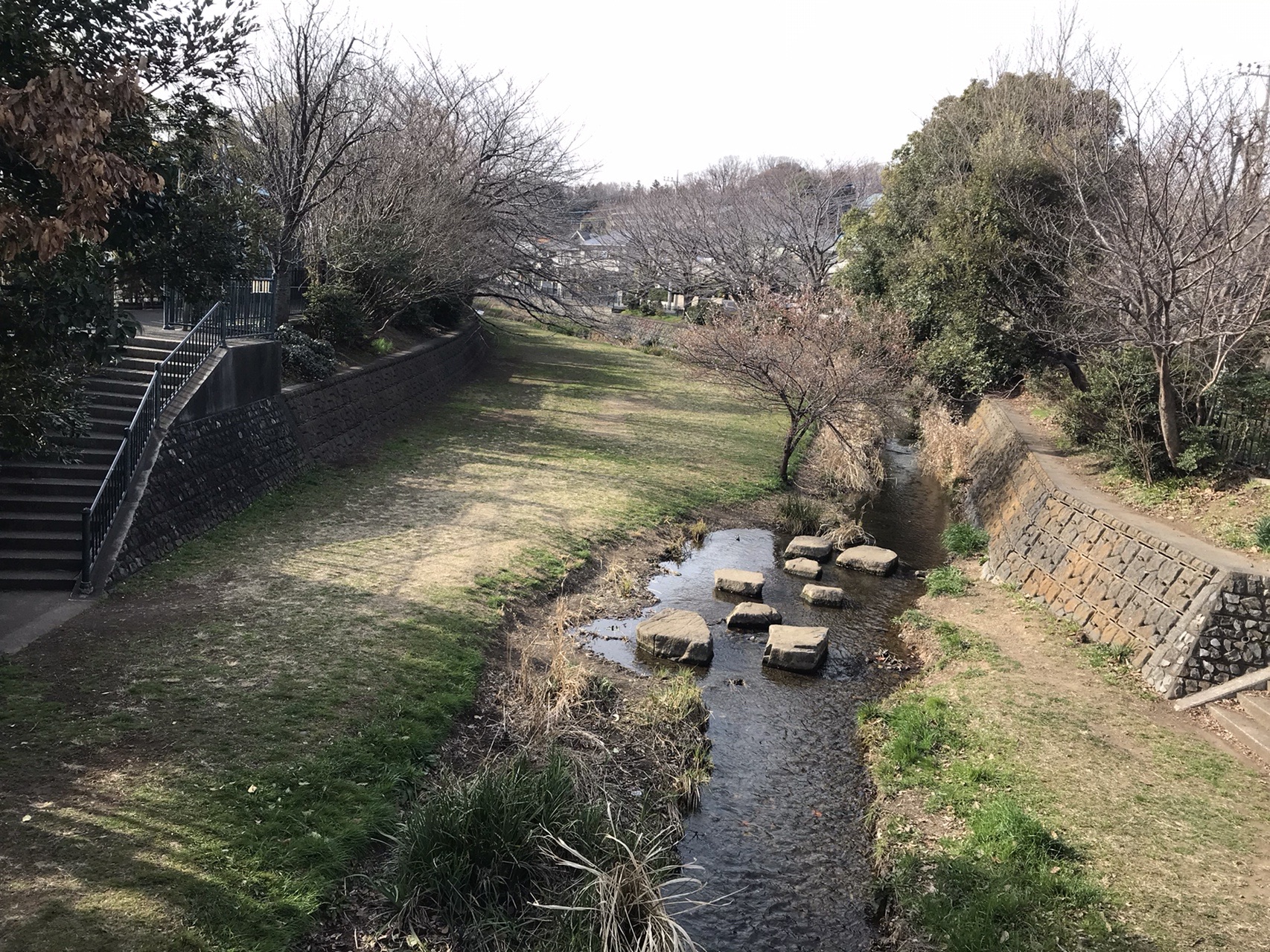 野川の橋めぐりその4 Tadamacさんの国分寺市の活動日記 Yamap ヤマップ