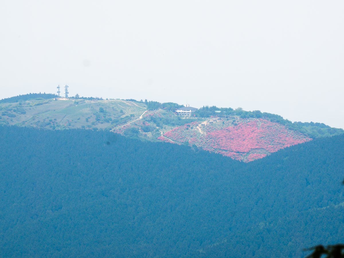 金剛山から葛城山つつじ園を望む 眺める Kurosirokoさんの金剛山 二上山 大和葛城山の活動データ Yamap ヤマップ