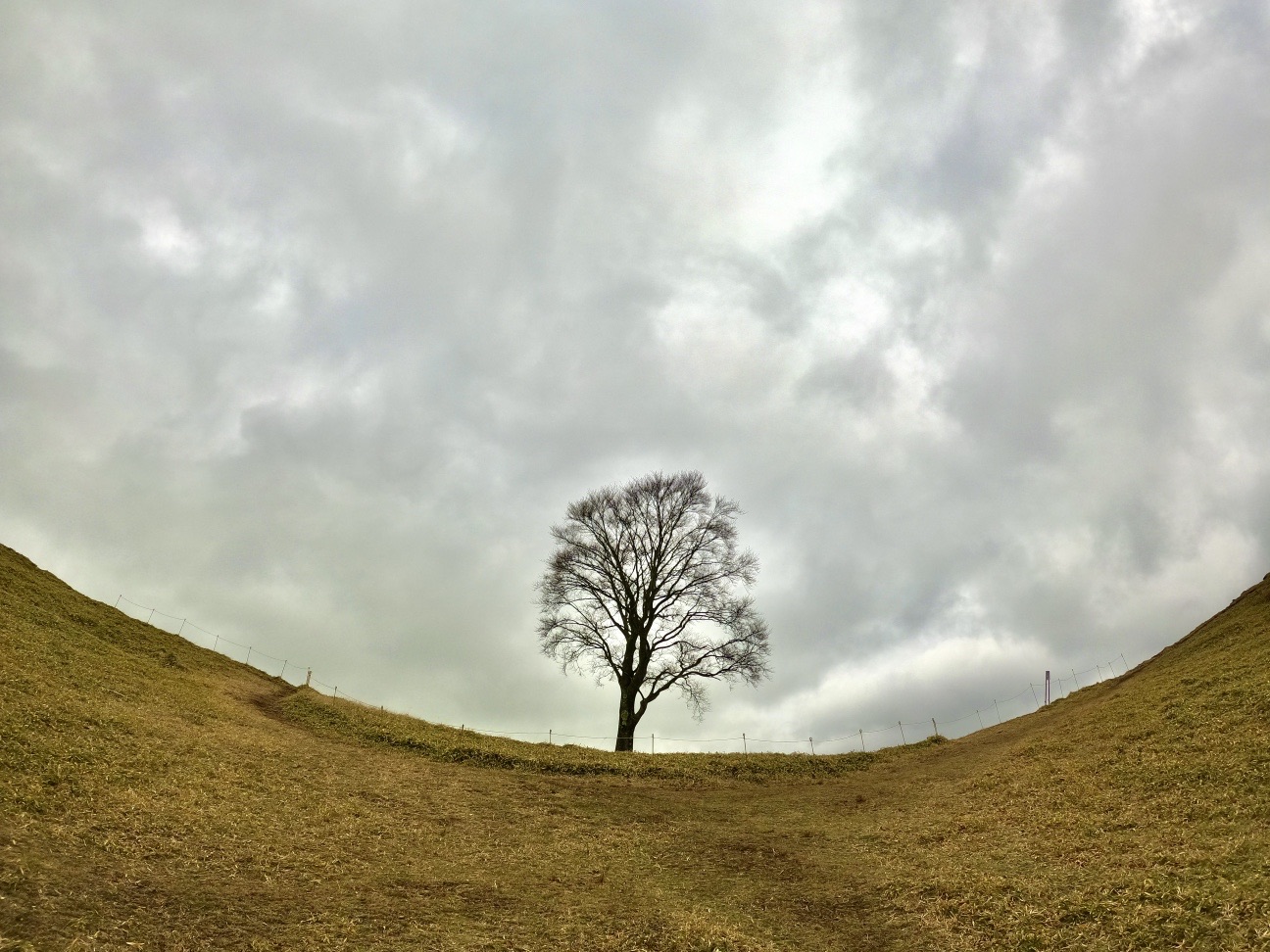 日本のグランドキャニオン 中倉山 あぴさんの皇海山 袈裟丸山 庚申山の活動データ Yamap ヤマップ