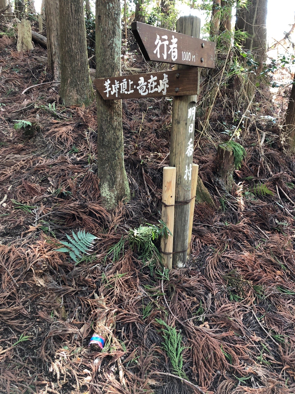 高取山 芋峠  ここで少し迷いました。