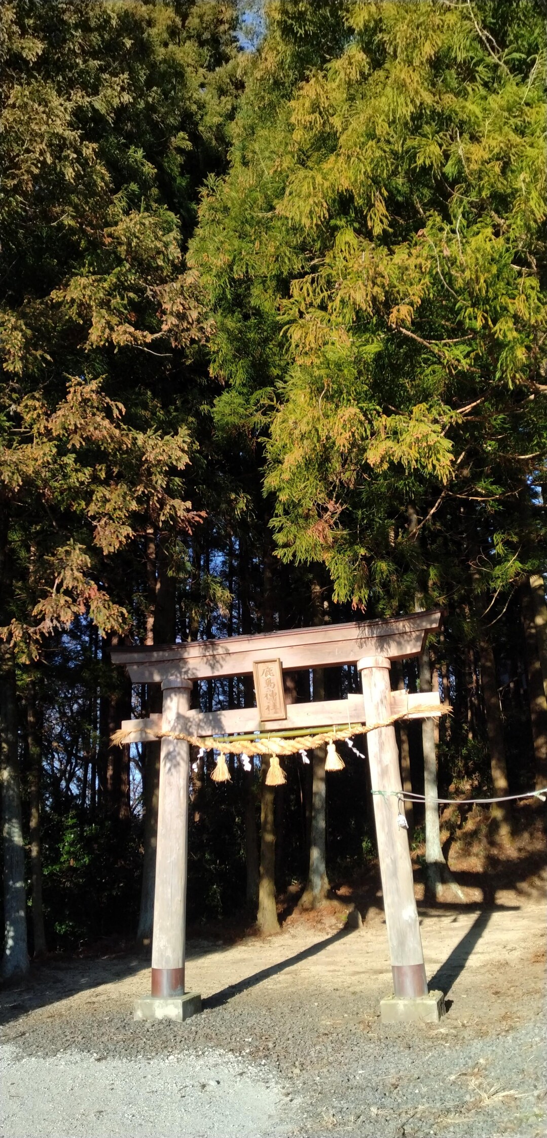 舘ケ岡磨崖仏のそばに村社があって導かれる... / タカボジンさんのモーメント YAMAP / ヤマップ