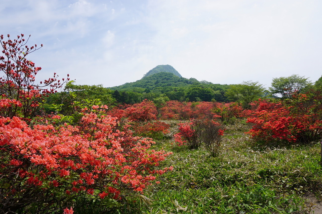 ツツジ見頃の関東ふれあいの道から榛名 相馬山登山 Wataさんの榛名山 天狗山 天目山の活動データ Yamap ヤマップ