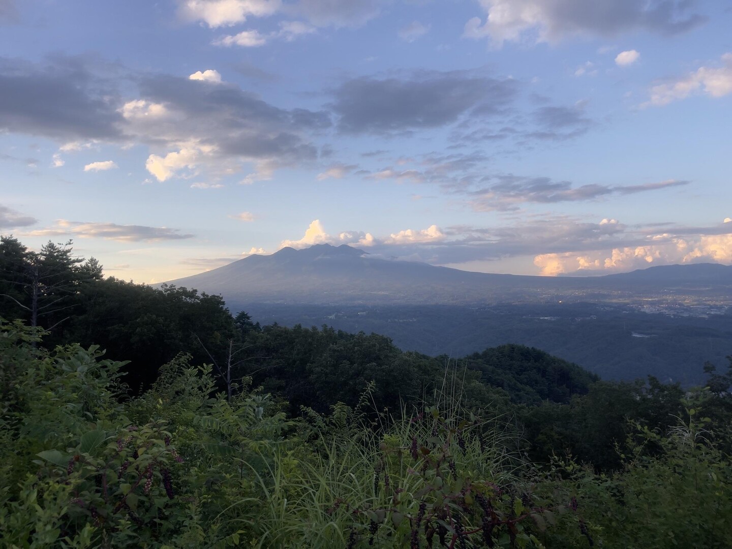 中山から八ヶ岳を望む。 （この時期の中... / Ukishimaさんのモーメント YAMAP / ヤマップ