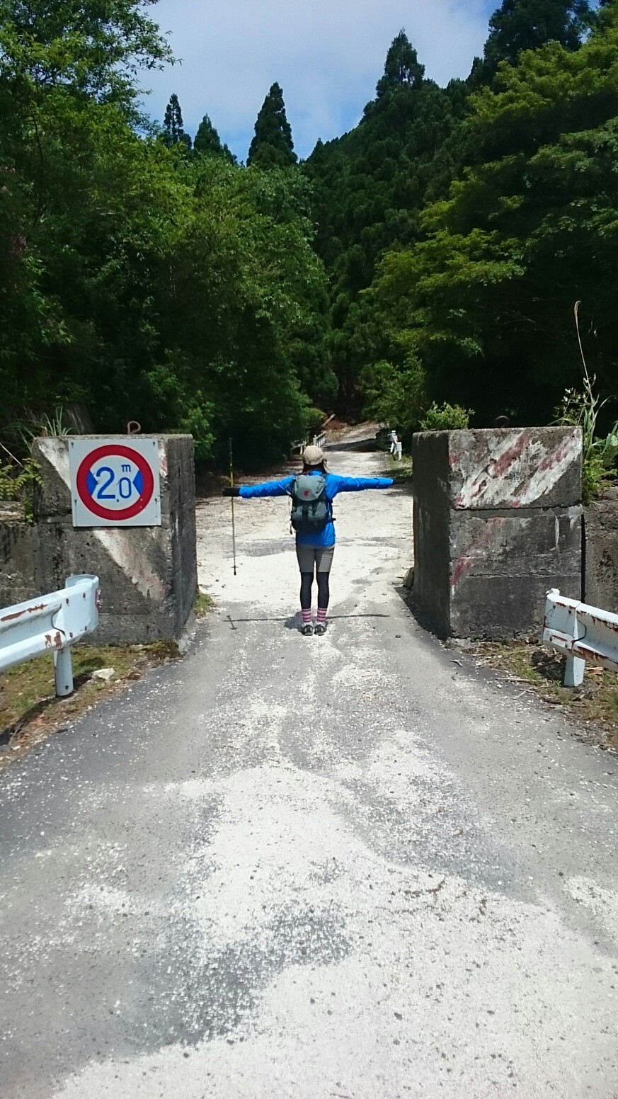 廃道トレッキング 旧国道421号線 ななみさんの竜ヶ岳の活動データ Yamap ヤマップ