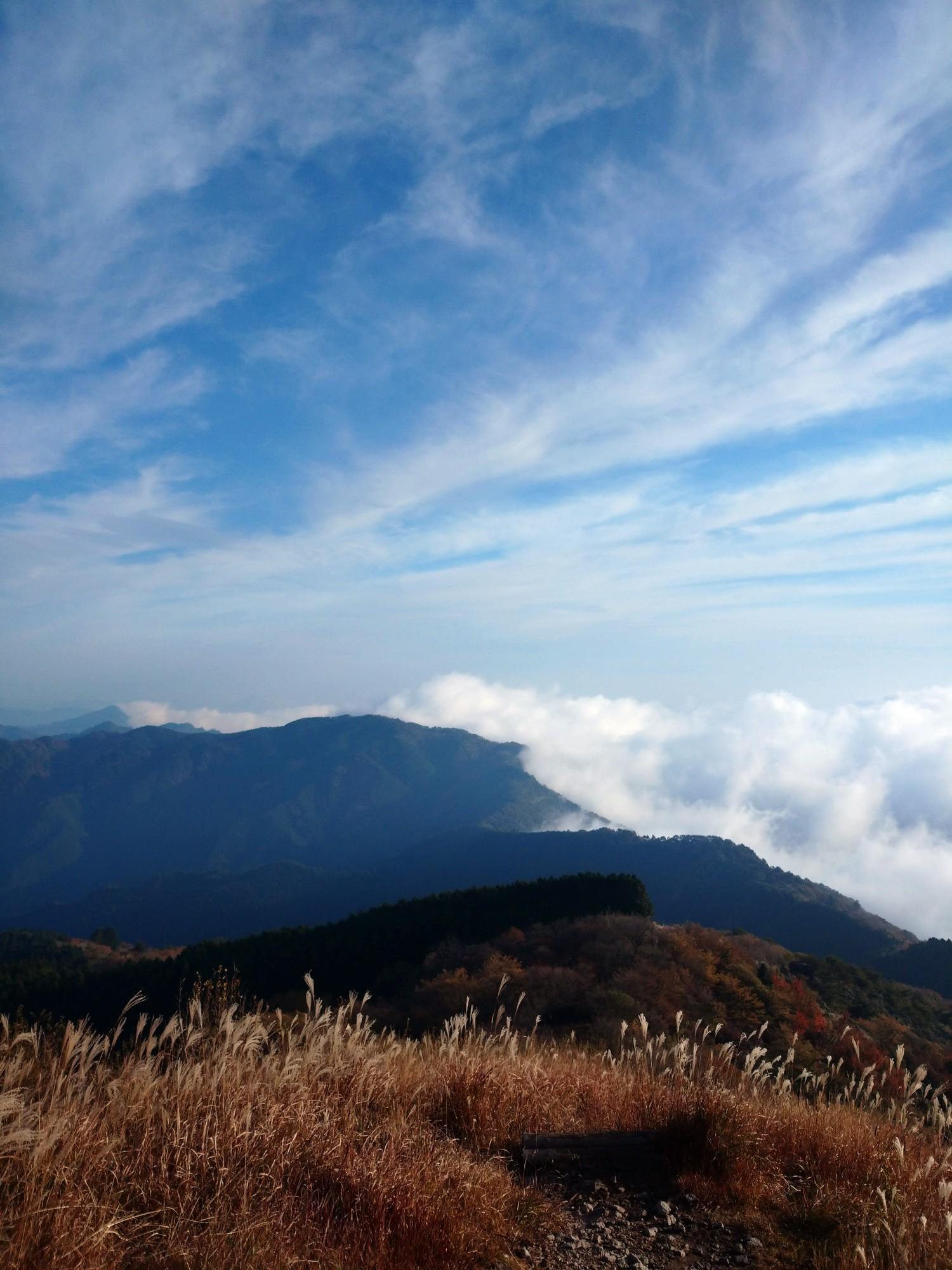 千ヶ峰 / 2828号さんの千ヶ峰の活動データ YAMAP / ヤマップ