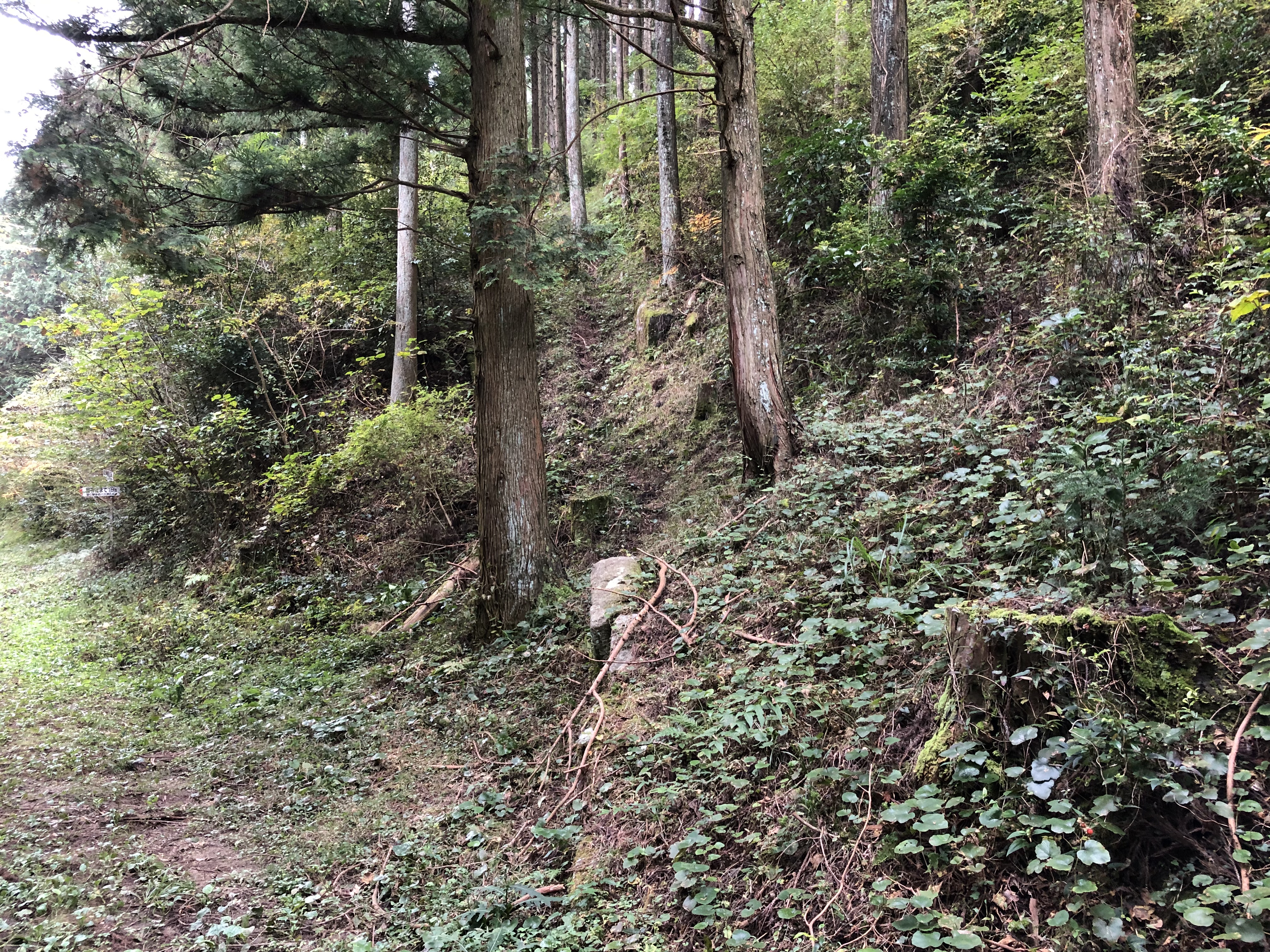 198 雷山神籠石へ 筑前前原sta 雷山神籠石 うぉーきんぐさんの糸島三都110キロウォークの活動日記 Yamap ヤマップ