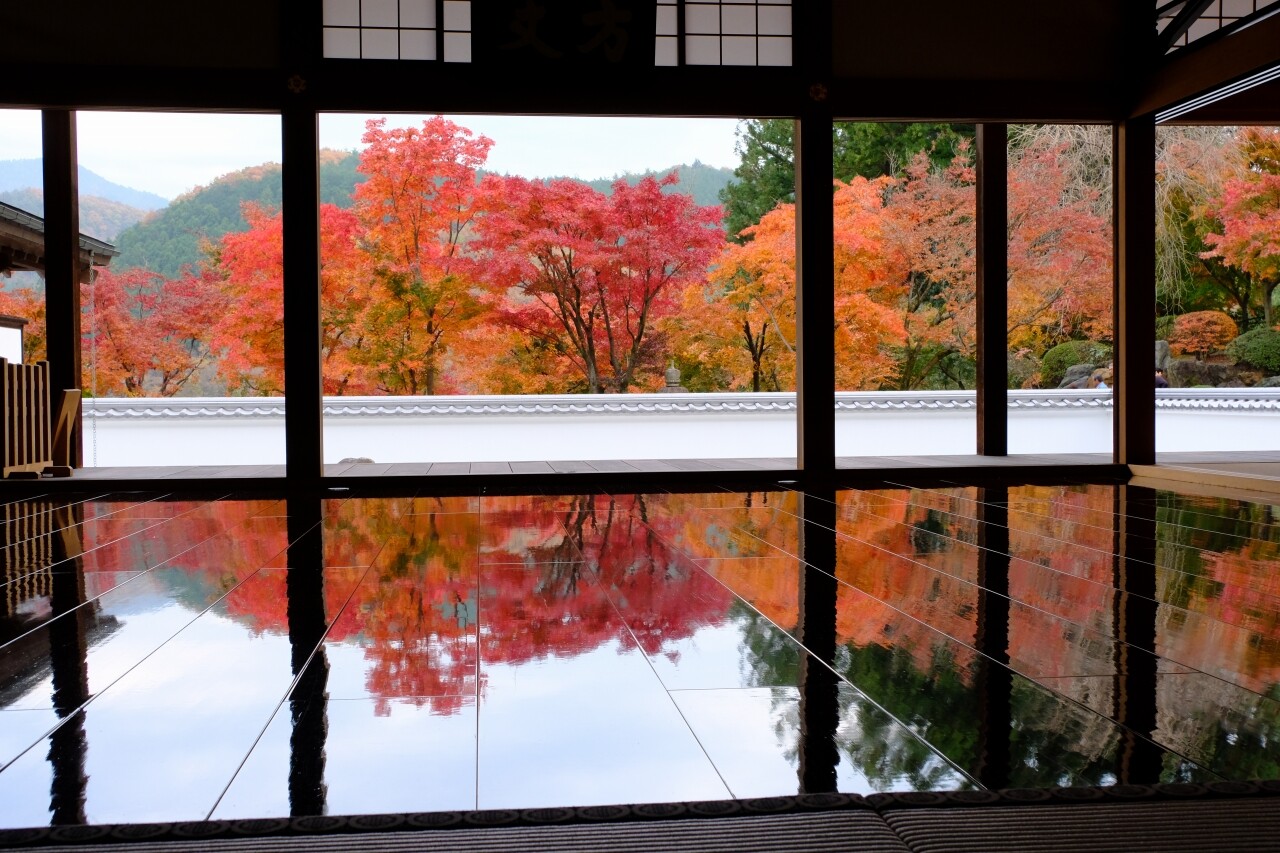 宝徳寺の床もみじ 群馬県桐生市 19 11 25 荘衛さんの荒神山の活動日記 Yamap ヤマップ