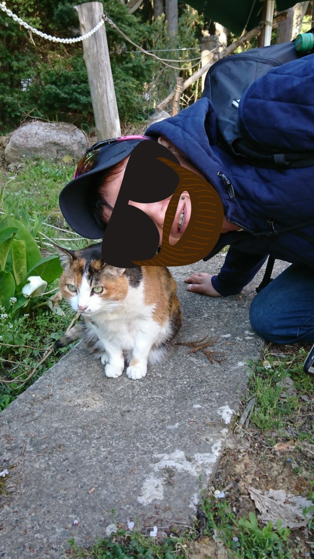 熊さんとカラスさんとにゃんこ先生と 吉猫さんの田上町の活動データ Yamap ヤマップ