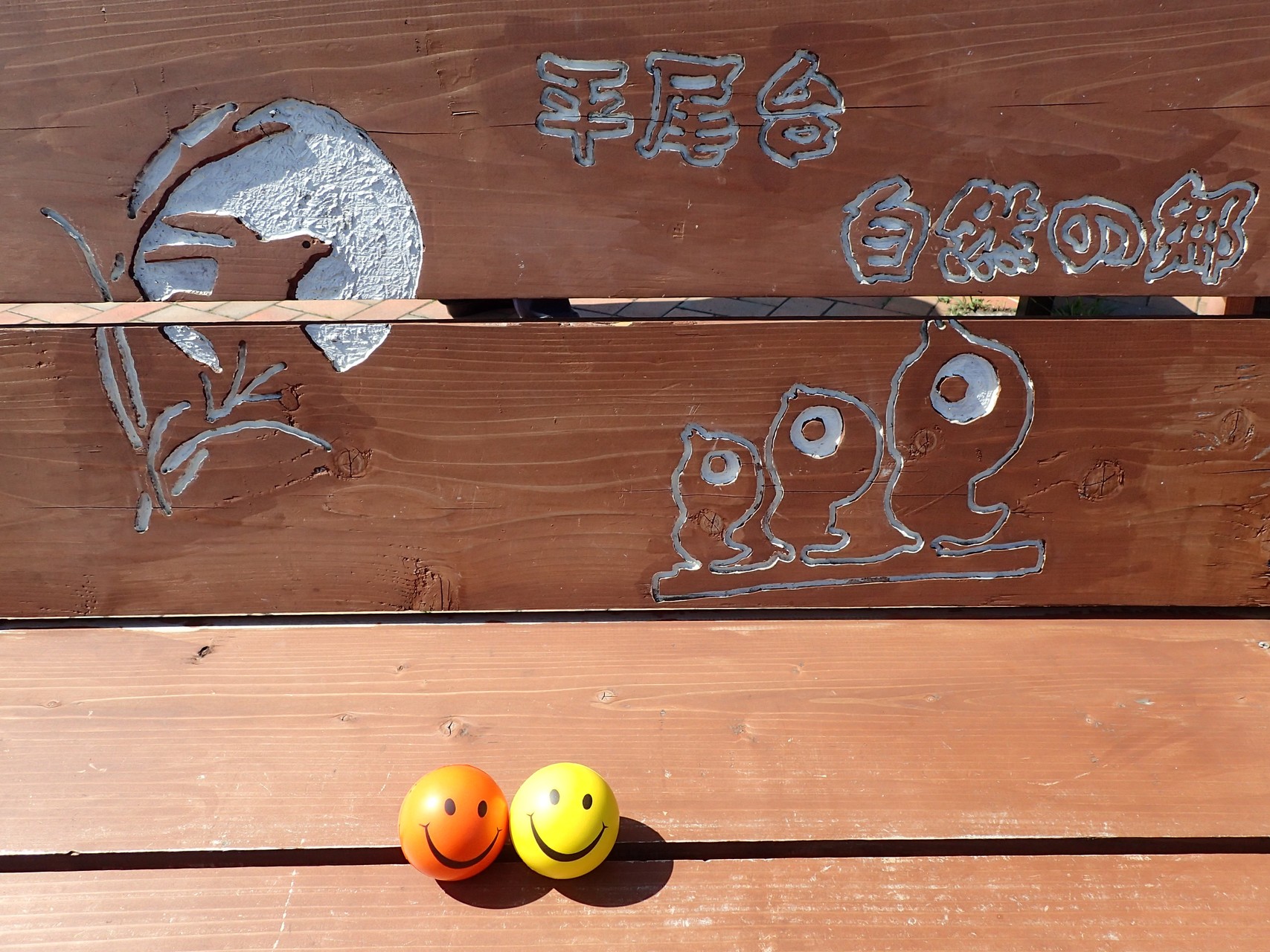 平尾台自然の郷 きのこさんの平尾台 貫山 水晶山の活動データ Yamap ヤマップ