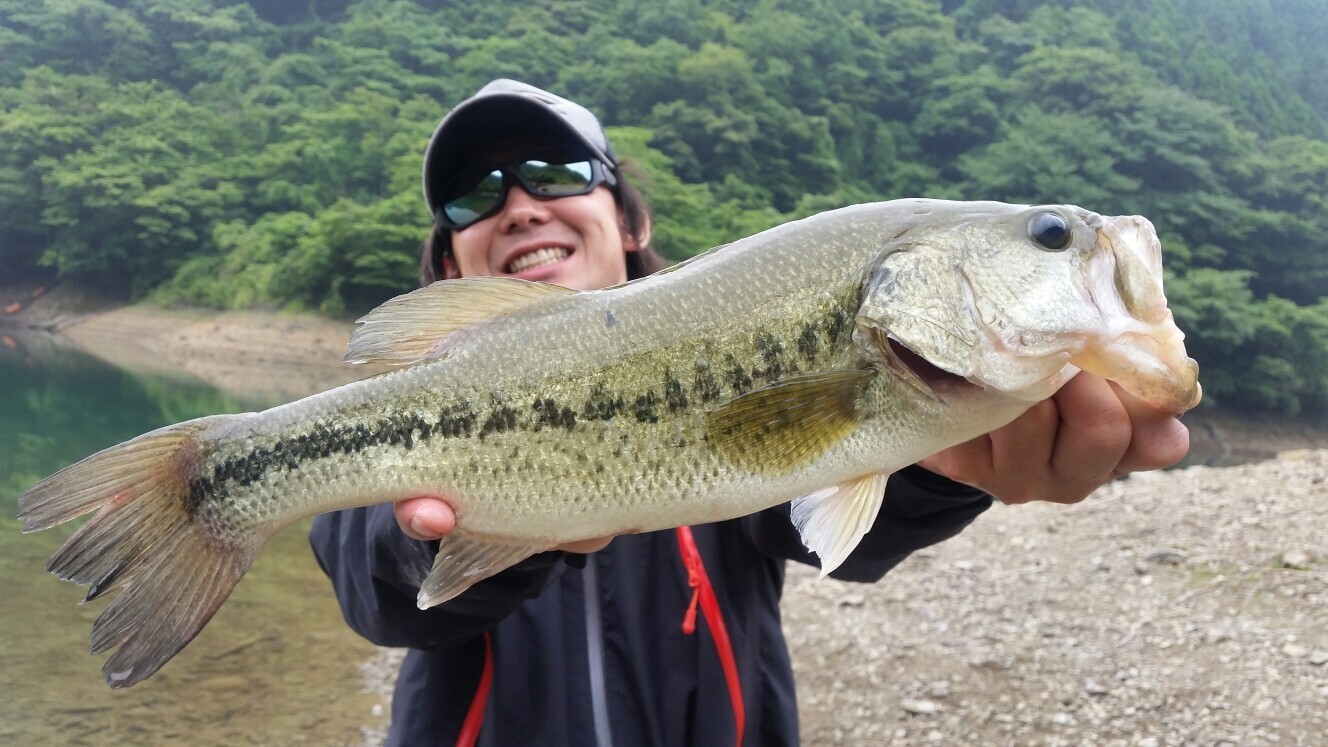 鱒渕ダムでバス釣り２ つるたさんの福智山 尺岳 雲取山の活動日記 Yamap ヤマップ
