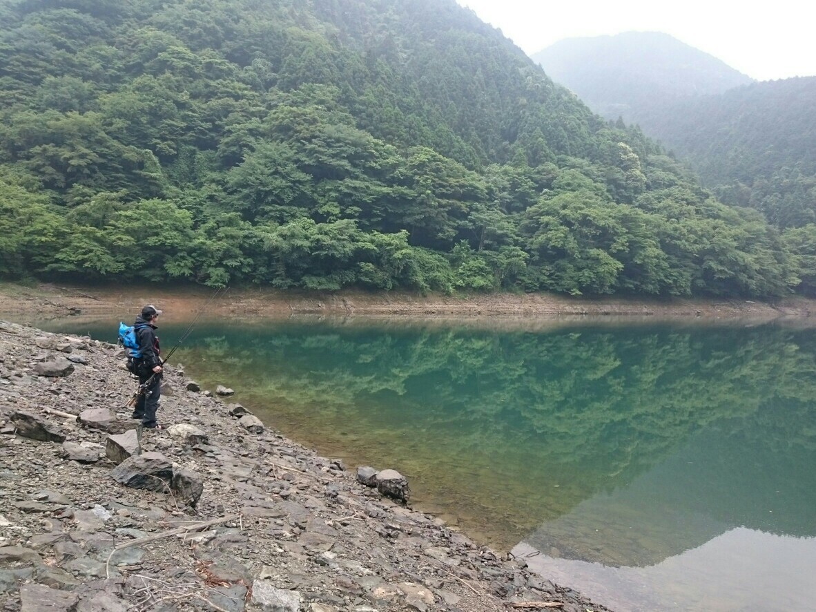 鱒渕ダムでバス釣り２ つるたさんの福智山 尺岳 雲取山の活動日記 Yamap ヤマップ