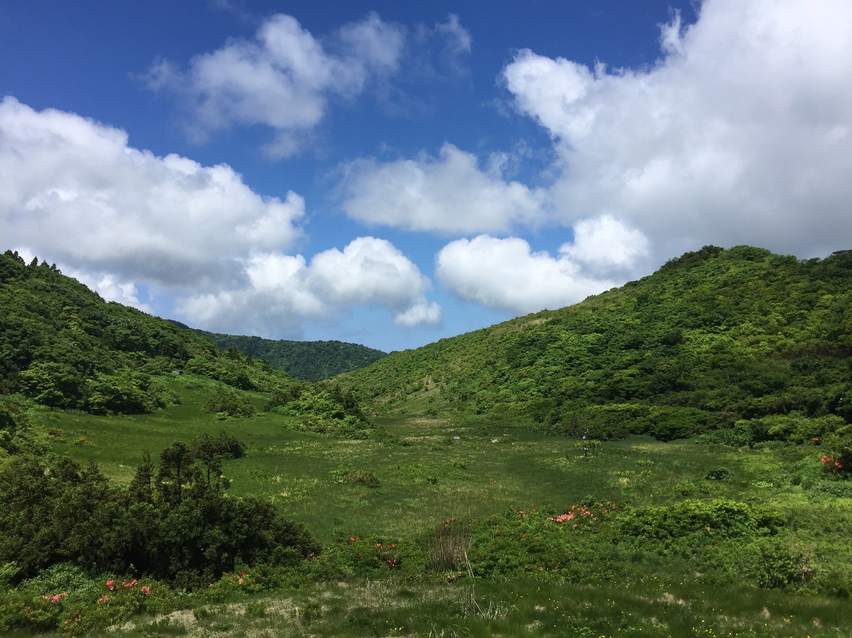 出張のついでに佐渡 ドンデン山 せいさんの佐渡島の活動データ Yamap ヤマップ