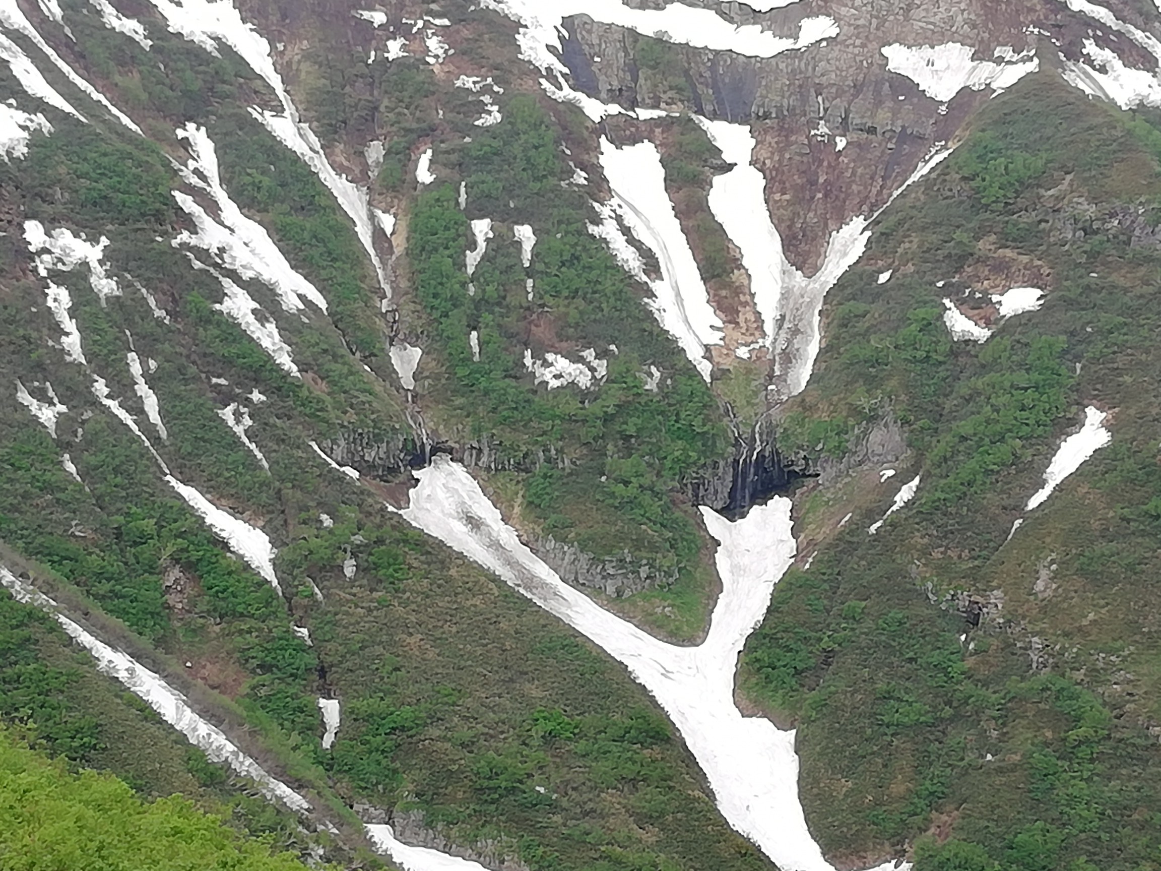 暑寒別岳 年6月14日登山 うっかりみっちゃんさんの暑寒別岳の活動データ Yamap ヤマップ