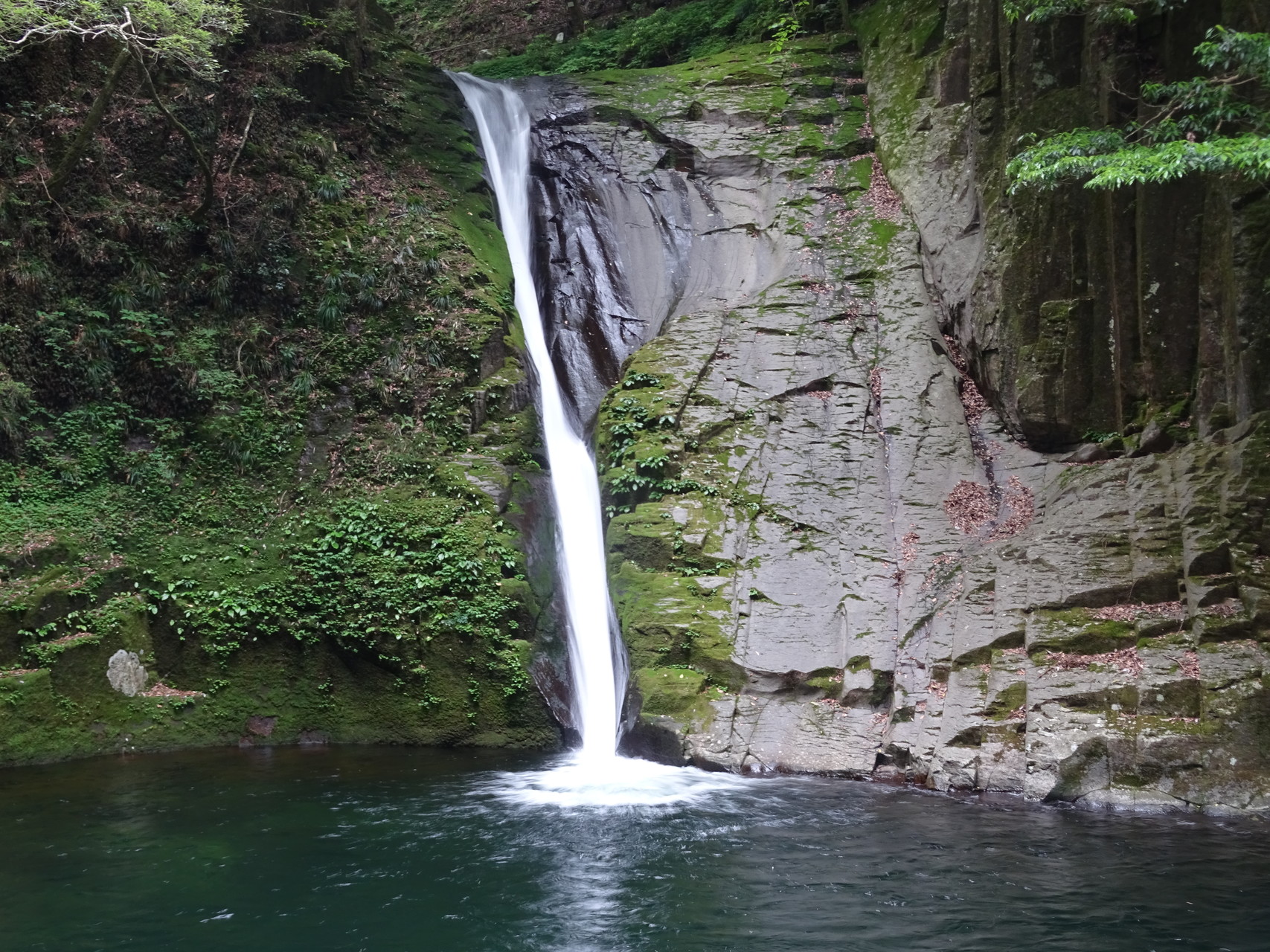 赤目にリベンジ滝づくし 赤目滝 落合 Persさんの長坂山 赤目四十八滝の活動日記 Yamap ヤマップ