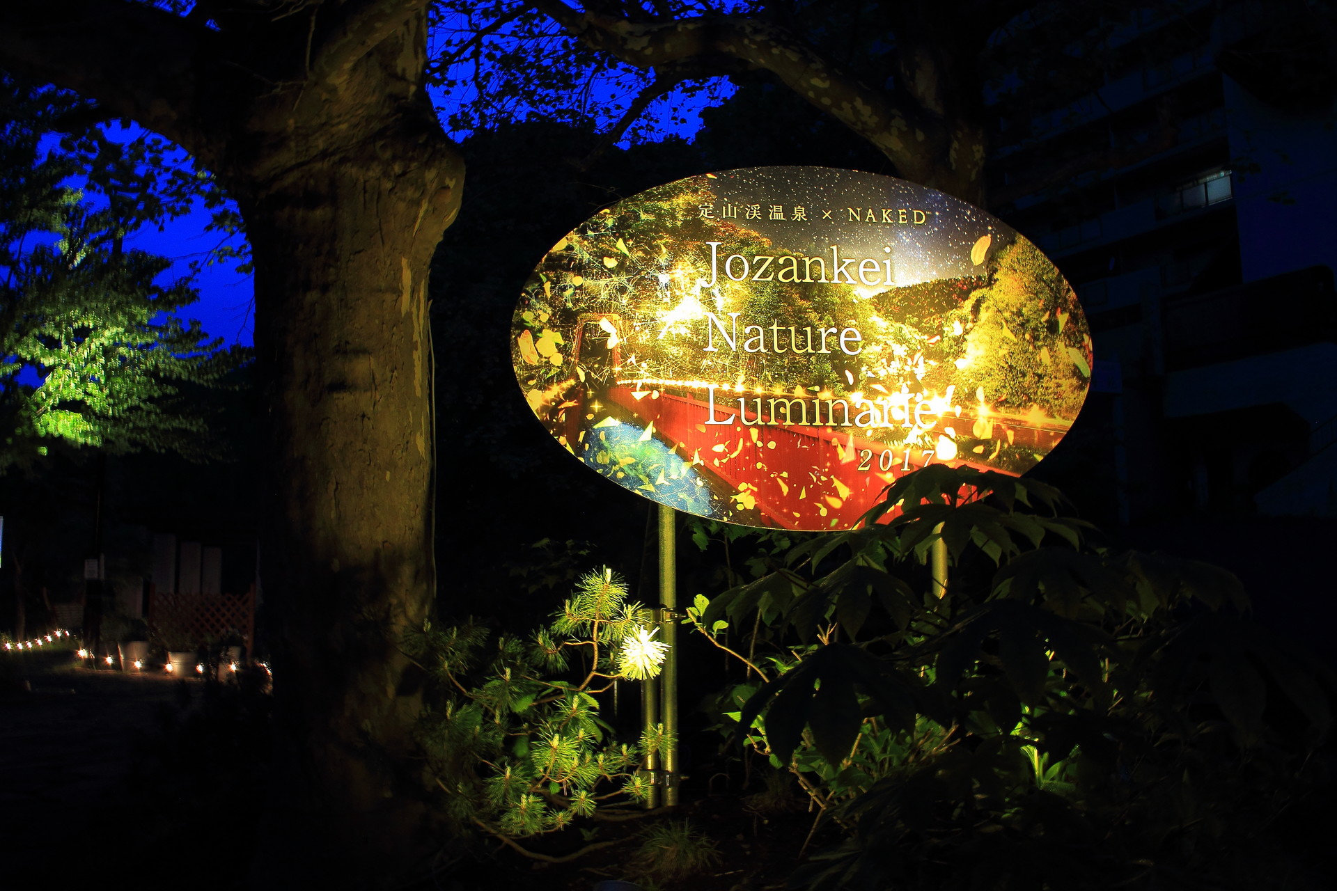 ニセコでスターウォッチング雨天延期 Spicaさんのニセコアンヌプリ イワオヌプリ チセヌプリの活動日記 Yamap ヤマップ