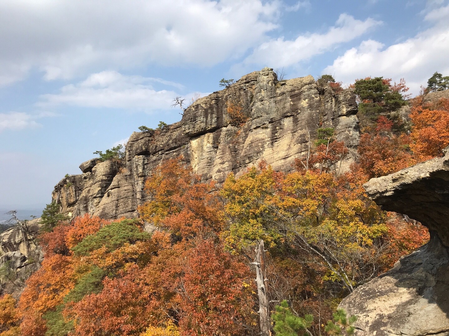 山形 米沢 天気