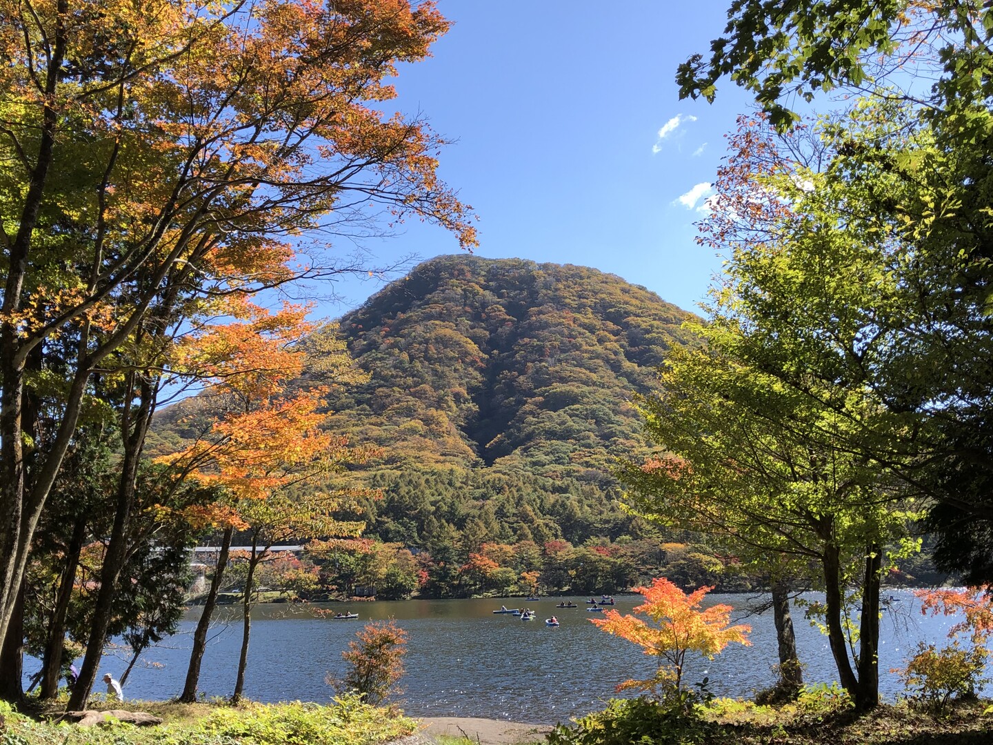 榛名山へ紅葉登山 榛名富士から掃部ヶ岳へ Fumi3110さんの榛名山 天狗山 天目山の活動データ Yamap ヤマップ