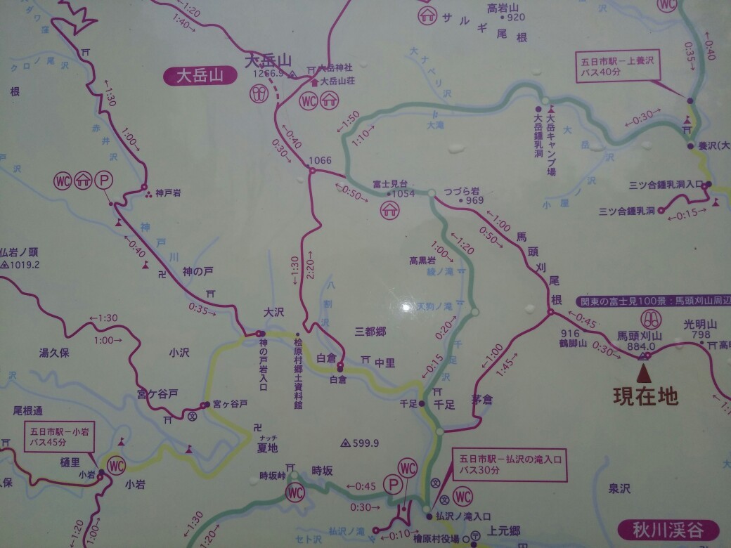 軍道ルートで馬頭刈山 初めての鶴脚山へ タックンさんのハセツネcup 日本山岳耐久レース 71 5kmコース の活動データ Yamap ヤマップ