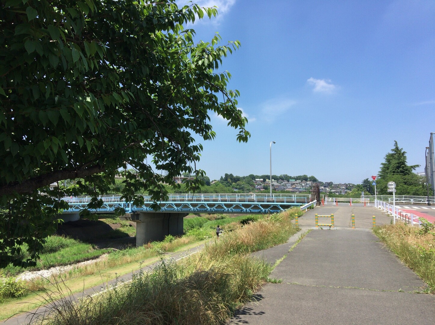 西八王子駅 陵南公園 高尾駅ウォーク エルさんの八王子市の活動日記 Yamap ヤマップ