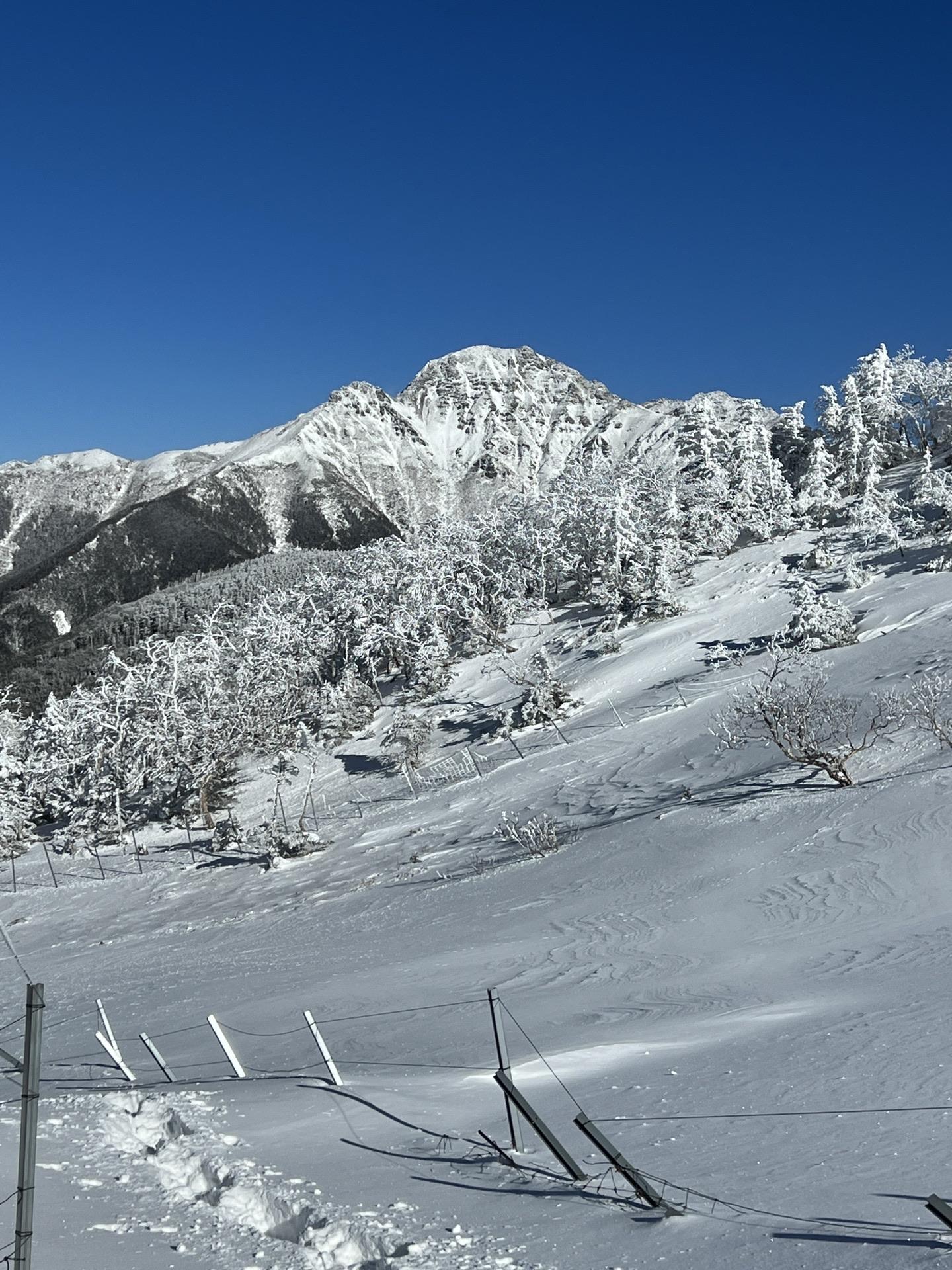 三伏峠 / バクホンさんの塩見岳・権右衛門山・蝙蝠岳の活動データ YAMAP / ヤマップ