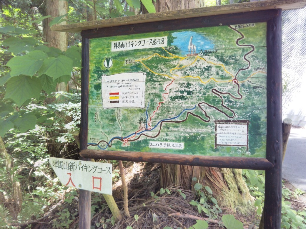 陣馬山と温泉 高尾山 陣馬山 景信山の写真3枚目 山道に早く入りたかったので 新ハイキング Yamap ヤマップ