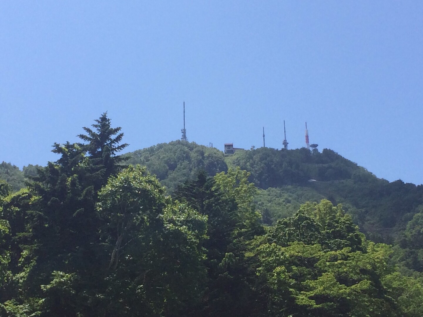手稲山 スキー場コース De 夏山散歩 ひさぽんさんの手稲山 奥手稲山の活動データ Yamap ヤマップ