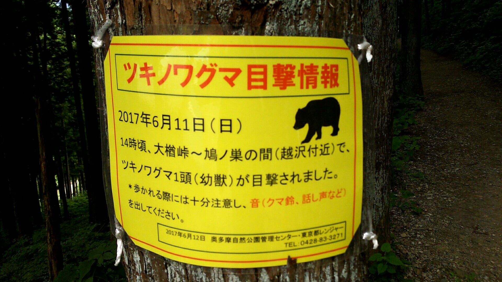 奥多摩町 古里 鳩ノ巣 白丸 奥多摩 Tomousさんの川苔山 川乗山 の活動日記 Yamap ヤマップ