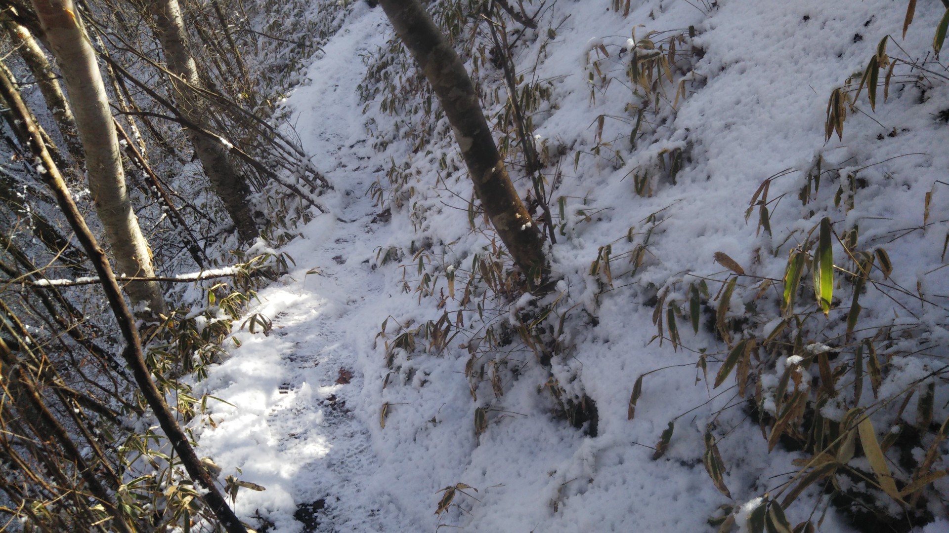 18きっぷで北へ 冠雪の榛名湖ぐるっと１周 ベイナスさんの榛名山 天狗山 天目山の活動データ Yamap ヤマップ