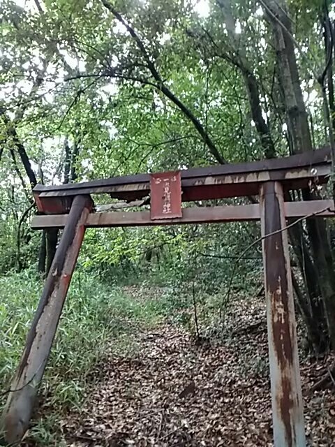 廃神社発見 太公望さんの金立山 金敷城山の活動日記 Yamap ヤマップ