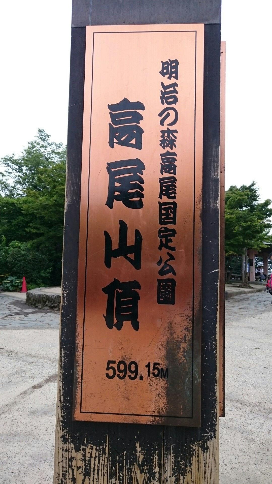 高尾山とホタル観賞 かなりんさんの高尾山 陣馬山 景信山の活動データ Yamap ヤマップ
