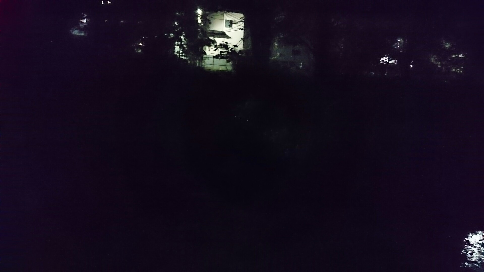 高尾山とホタル観賞 かなりんさんの高尾山 陣馬山 景信山の活動データ Yamap ヤマップ