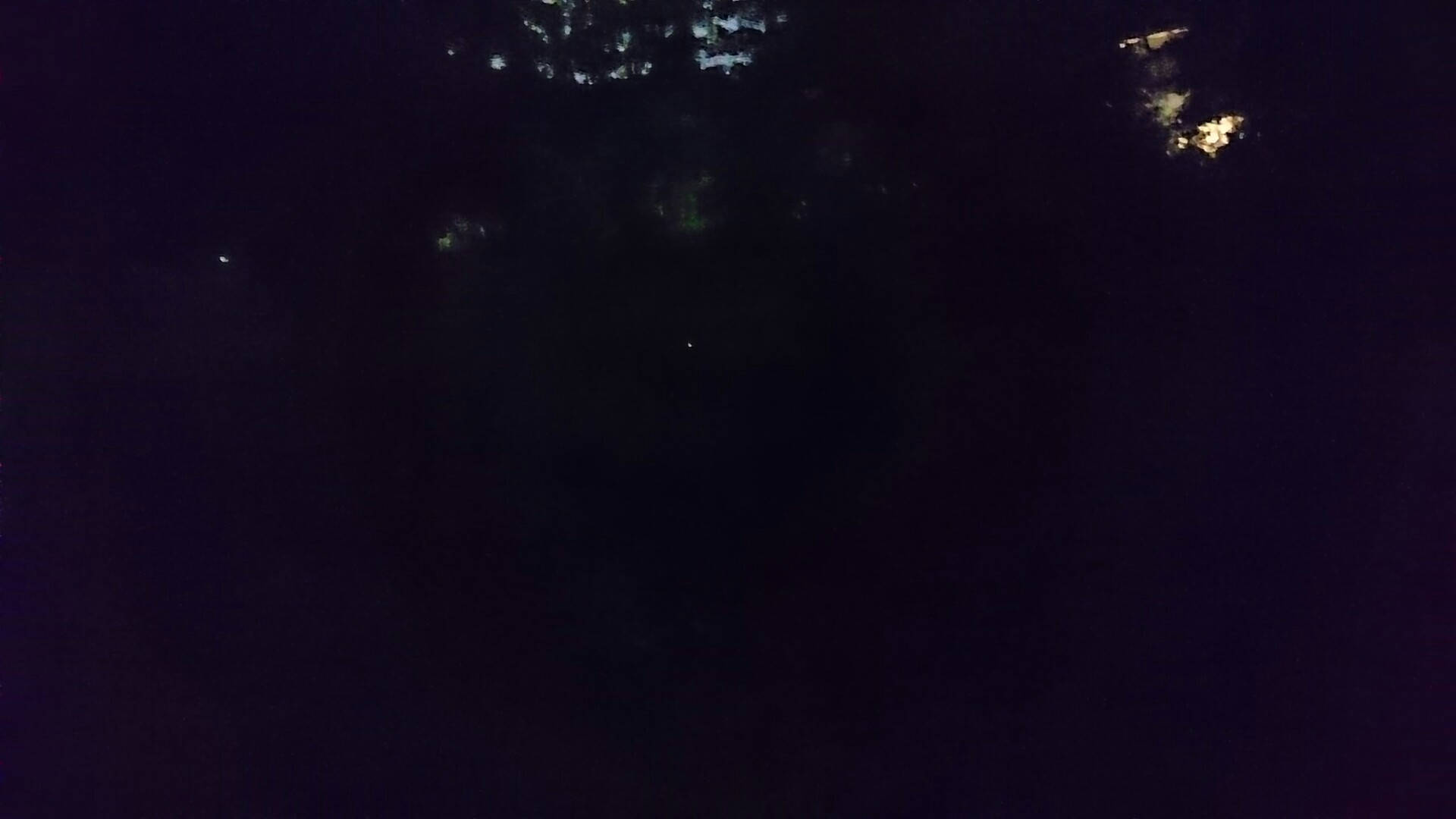 高尾山とホタル観賞 かなりんさんの高尾山 陣馬山 景信山の活動データ Yamap ヤマップ