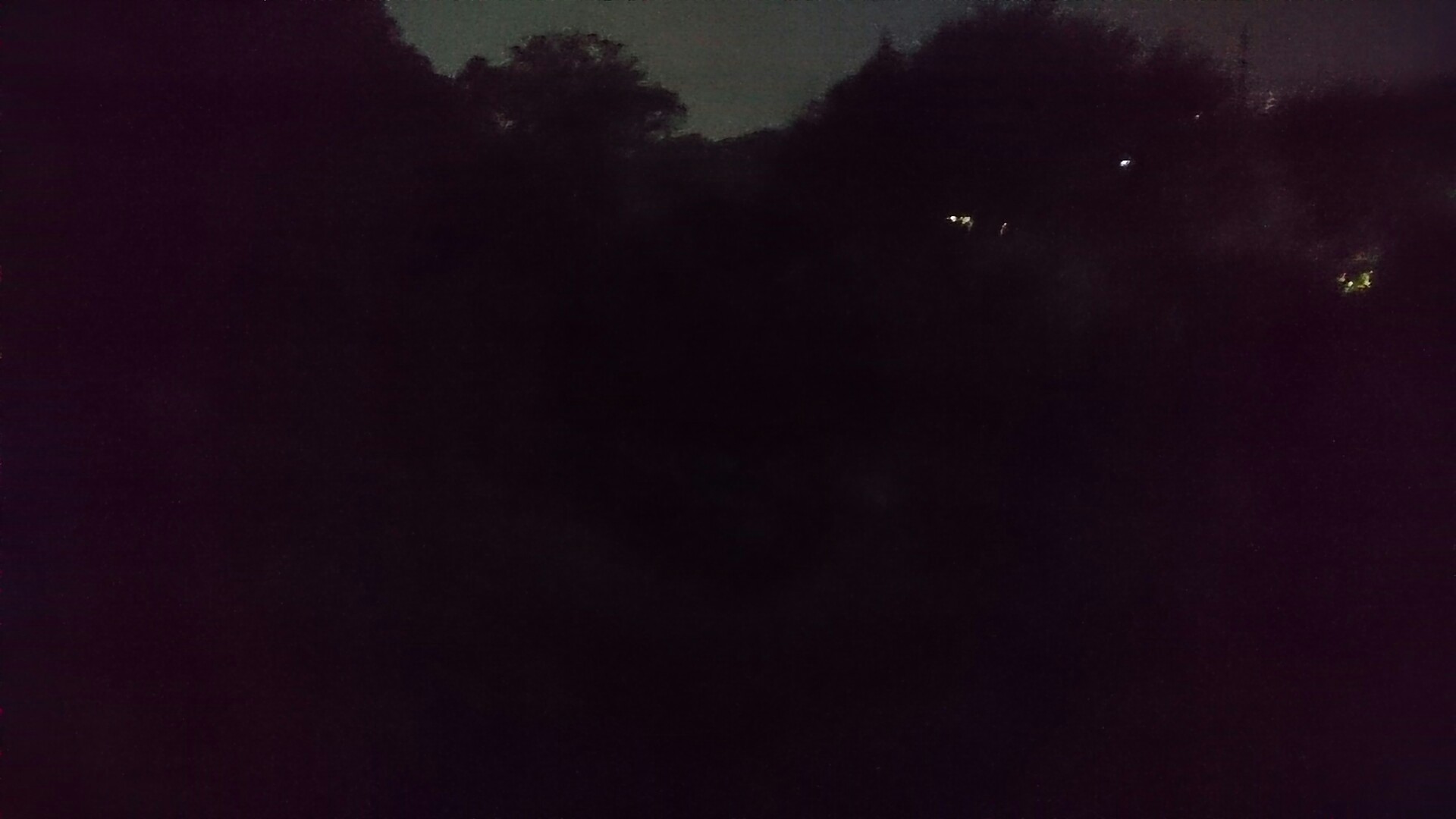 高尾山とホタル観賞 かなりんさんの高尾山 陣馬山 景信山の活動データ Yamap ヤマップ