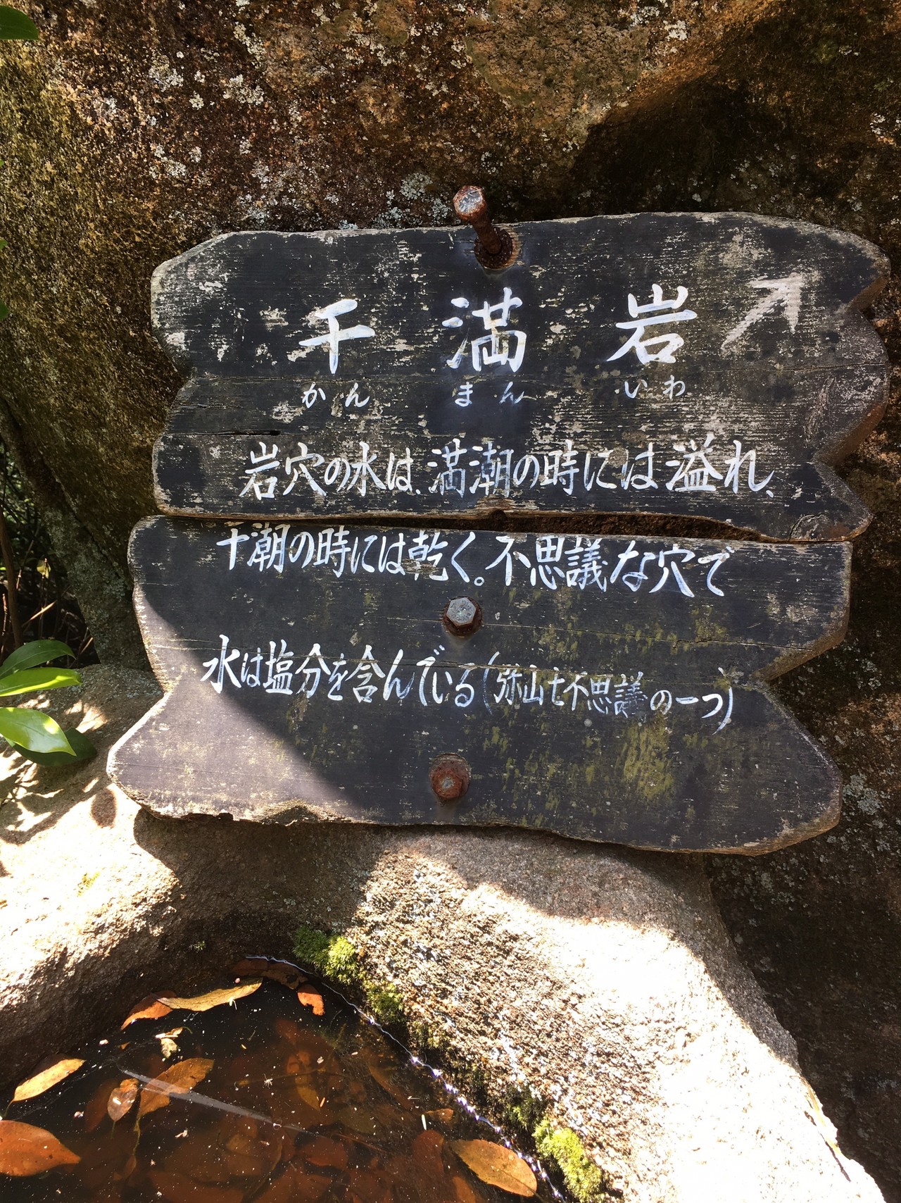 弥山 安芸の宮島 を大元ルートで Water Quenchさんの宮島 厳島 弥山の活動日記 Yamap ヤマップ