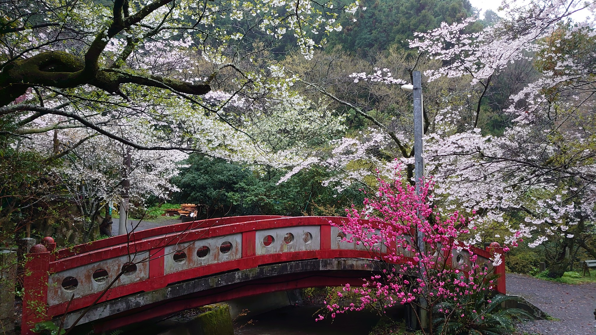 皿倉山 ヤマトホゴール中継 03 28 ガーデンさんの皿倉山 花尾山 帆柱山の活動データ Yamap ヤマップ