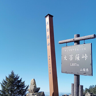 大菩薩ブルー💙