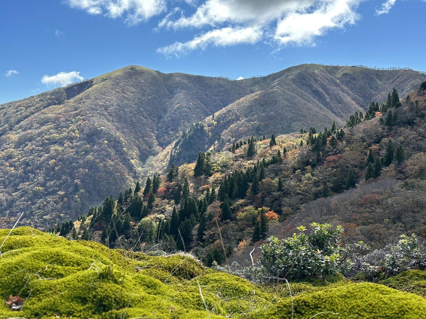 杉峠ノ頭・イブネ / サスケさんの御在所岳（御在所山）・雨乞岳の活動データ YAMAP / ヤマップ