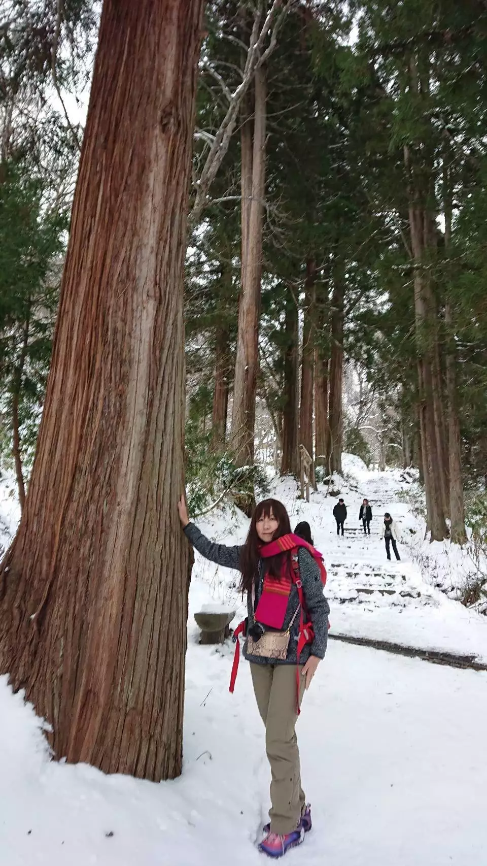 冬の戸隠山 と戸隠神社奥社 菊理媛さんの飯縄山の活動データ Yamap ヤマップ
