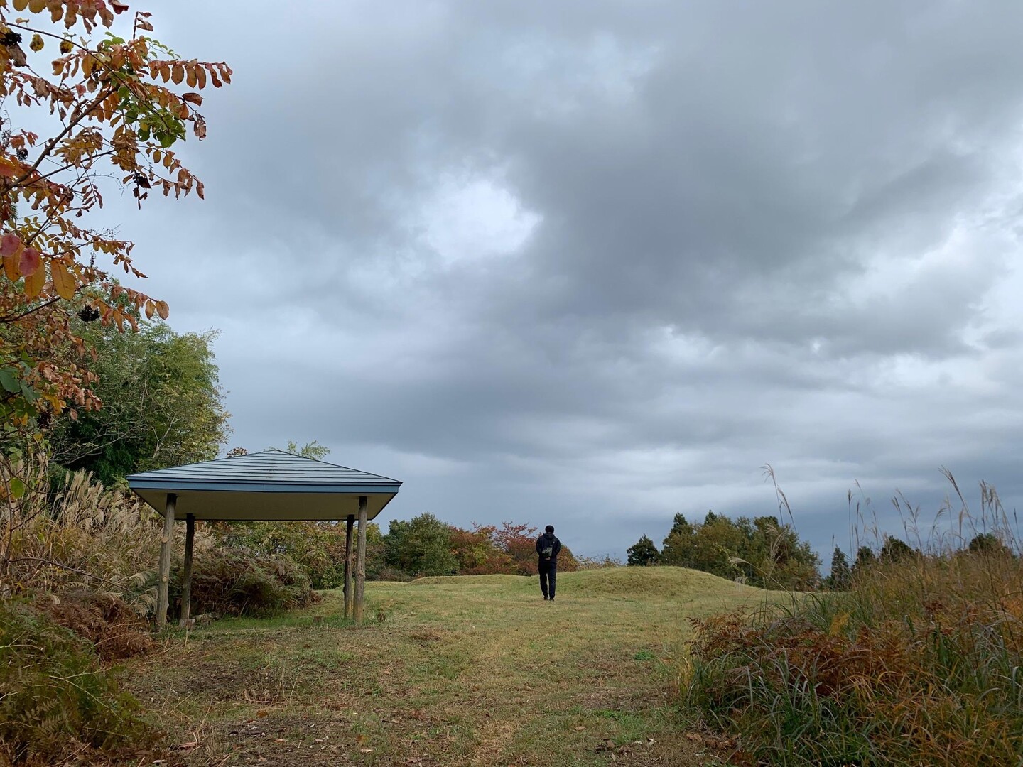 金照寺山 20221103 / kaoreamさんの秋田市の活動データ YAMAP / ヤマップ