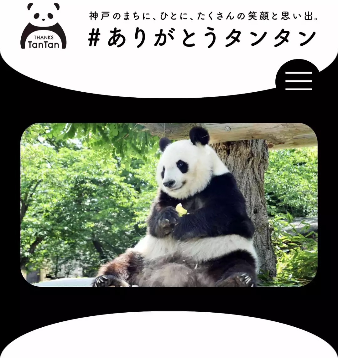 ありがとうタンタン!!!(神戸市王子動物園)-2020-07-11 ありがとうタンタン!!!(神戸市王子動物園)-2020-07-11