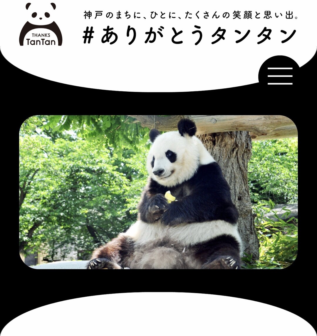 ありがとうタンタン 神戸市王子動物園 07 11 かおりんさんの神戸市の活動日記 Yamap ヤマップ